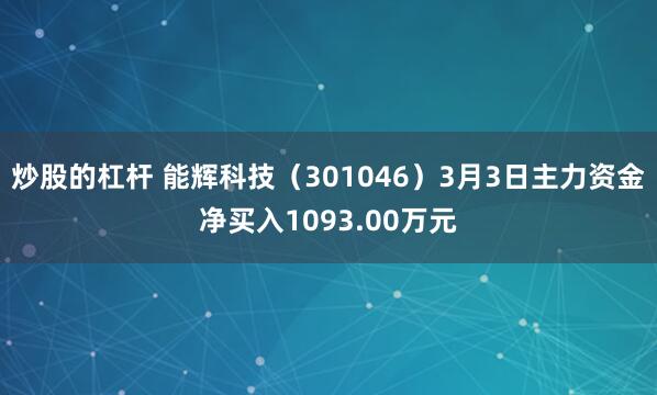 炒股的杠杆 能辉科技（301046）3月3日主力资金净买入1093.00万元