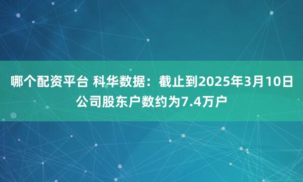 哪个配资平台 科华数据：截止到2025年3月10日公司股东户数约为7.4万户
