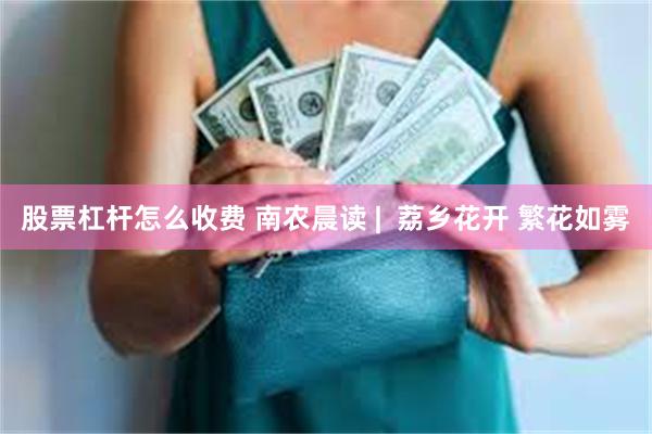 股票杠杆怎么收费 南农晨读 |  荔乡花开 繁花如雾