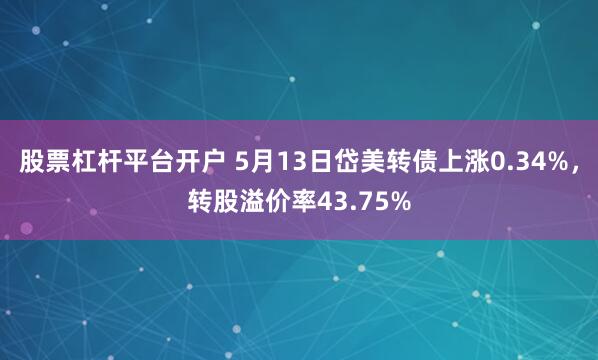 股票杠杆平台开户 5月13日岱美转债上涨0.34%，转股溢价率43.75%