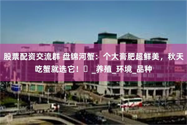 股票配资交流群 盘锦河蟹：个大膏肥超鲜美，秋天吃蟹就选它！​_养殖_环境_品种