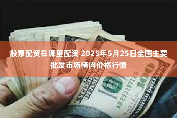 股票配资在哪里配资 2025年5月25日全国主要批发市场猪肉价格行情