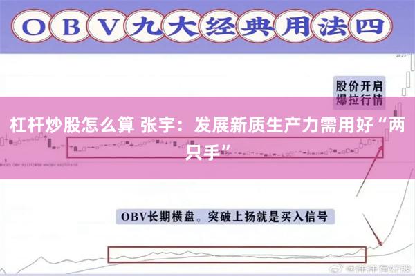 杠杆炒股怎么算 张宇：发展新质生产力需用好“两只手”