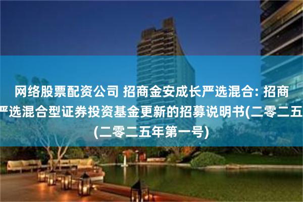 网络股票配资公司 招商金安成长严选混合: 招商金安成长严选混合型证券投资基金更新的招募说明书(二零二五年第一号)