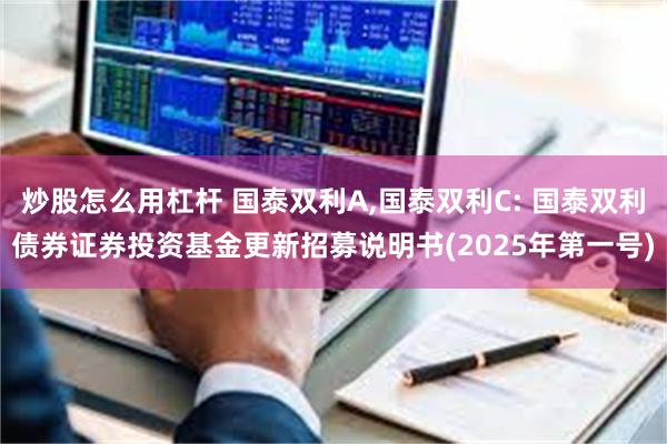 炒股怎么用杠杆 国泰双利A,国泰双利C: 国泰双利债券证券投资基金更新招募说明书(2025年第一号)