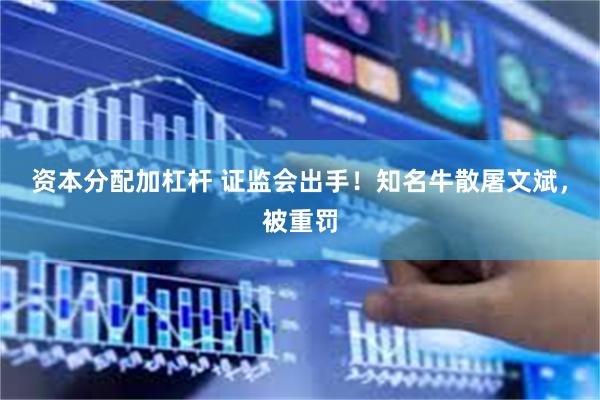 资本分配加杠杆 证监会出手！知名牛散屠文斌，被重罚