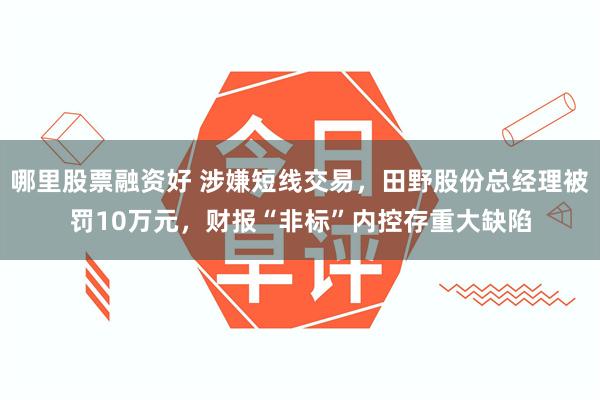 哪里股票融资好 涉嫌短线交易，田野股份总经理被罚10万元，财报“非标”内控存重大缺陷