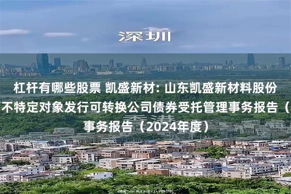 杠杆有哪些股票 凯盛新材: 山东凯盛新材料股份有限公司向不特定对象发行可转换公司债券受托管理事务报告（2024年度）