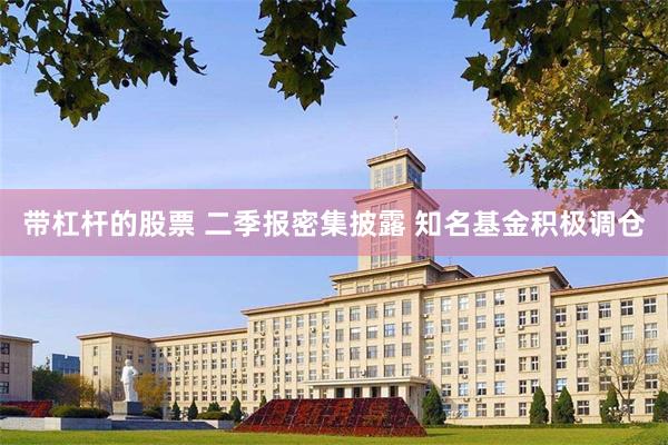 带杠杆的股票 二季报密集披露 知名基金积极调仓