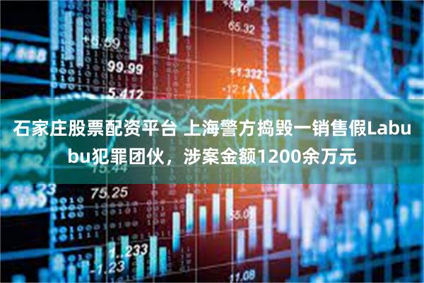 石家庄股票配资平台 上海警方捣毁一销售假Labubu犯罪团伙，涉案金额1200余万元