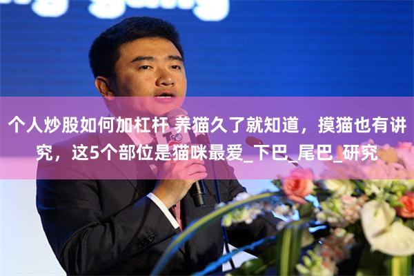 个人炒股如何加杠杆 养猫久了就知道，摸猫也有讲究，这5个部位是猫咪最爱_下巴_尾巴_研究