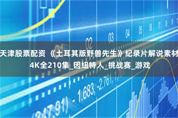 天津股票配资 《土耳其版野兽先生》纪录片解说素材 4K全210集_因纽特人_挑战赛_游戏