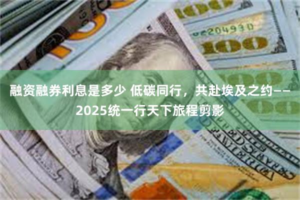 融资融券利息是多少 低碳同行，共赴埃及之约——2025统一行天下旅程剪影